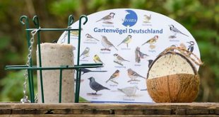 Winterpaket für Einsteiger